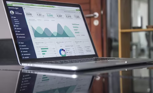 SEO ranking chart showing top performing websites